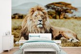 Papier peint - Papiers Papier peint photo Lions - Sauvages - Afrique - Largeur 390 cm x Hauteur 260 cm