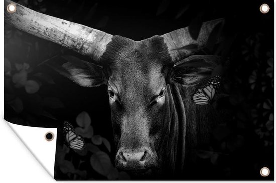 Tuindecoratie Close-up van een watussi rund in de jungle - zwart wit - 60x40 cm - Tuinposter - Tuindoek - Buitenposter