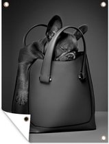 Tuin decoratie Hond in een handtas - zwart wit - 30x40 cm - Tuindoek - Buitenposter