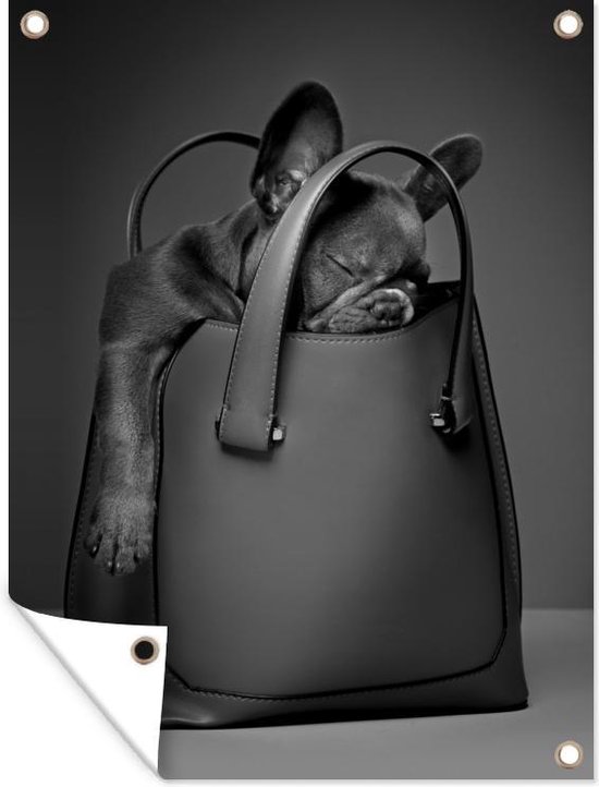 Hond in een handtas - zwart wit - Tuindoek