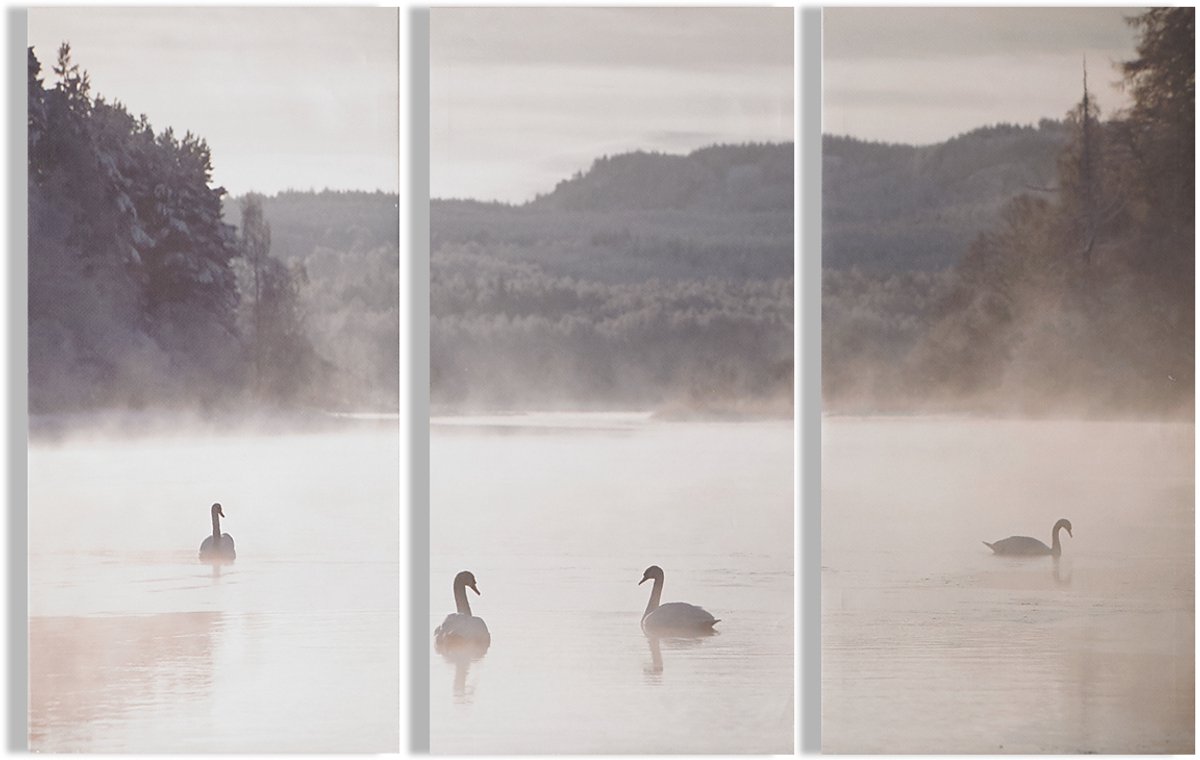 Art for the Home - Canvas Set van 3 - Zwanenmeer - 3x 30x60 cm