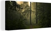 Canvas Schilderij Bos - Bomen - Groen - Planten - Bladeren - 40x20 cm - Wanddecoratie