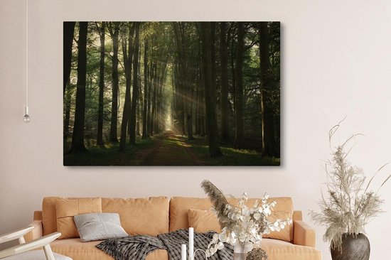 Canvas schilderij 150x100 cm - Wanddecoratie Bospad - Zonnestralen - Horizon - Bomen - Bos - Muurdecoratie woonkamer - Slaapkamer decoratie - Kamer accessoires - Schilderijen op canvas