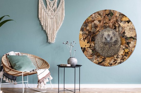 Cercle de papier peint - Hérisson - Automne - Feuilles - ⌀ 120 cm - Cercle mural - Autocollant - Sticker papier peint XXL