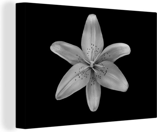 Canvas Schilderij Een leliebloem over zwarte achtergrond - zwart wit - 90x60 cm - Wanddecoratie