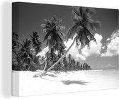 Canvas schilderij 180x120 cm - Wanddecoratie Een palmboom op het strand hangt boven de zee - zwart wit - Muurdecoratie woonkamer - Slaapkamer decoratie - Kamer accessoires - Schilderijen
