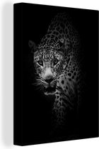 Peinture sur toile Curieux léopard sur fond noir - noir et blanc - 30x40 cm - Art Décoration murale