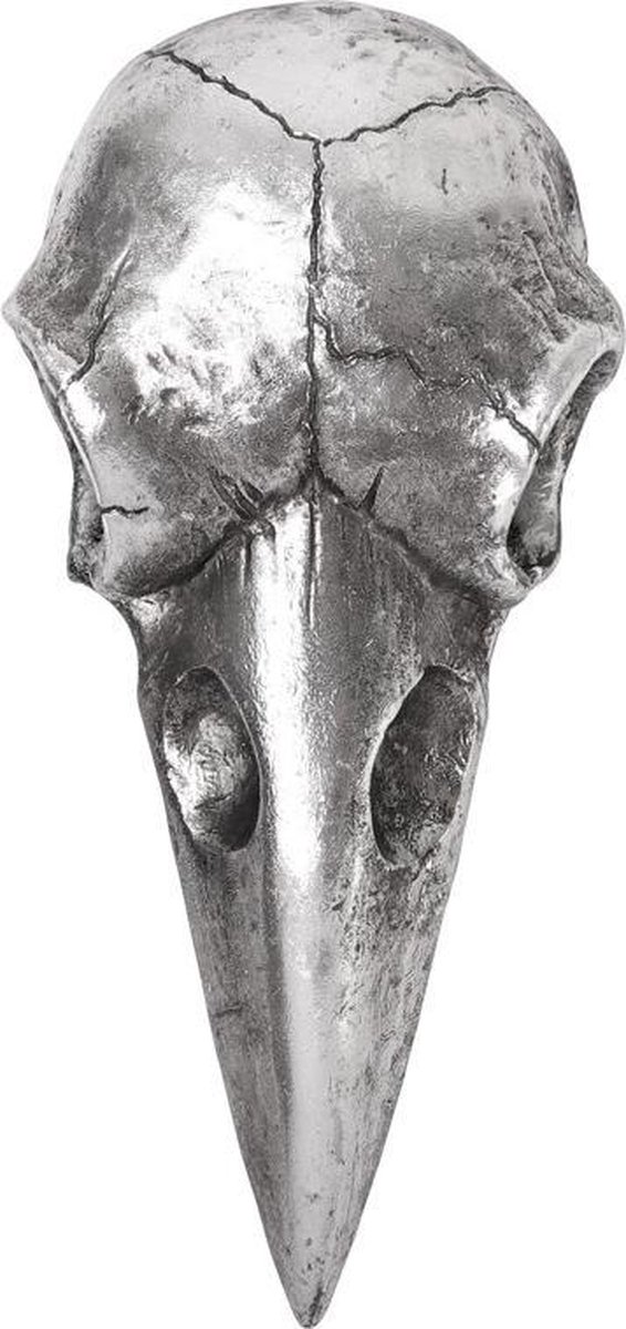 Goedkoopste Alchemy - Raven Skull Handspiegel - Zilverkleurig