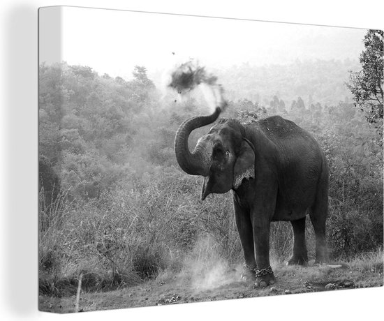 Canvas Schilderij Schoonmakende olifant - zwart wit - 60x40 cm - Wanddecoratie