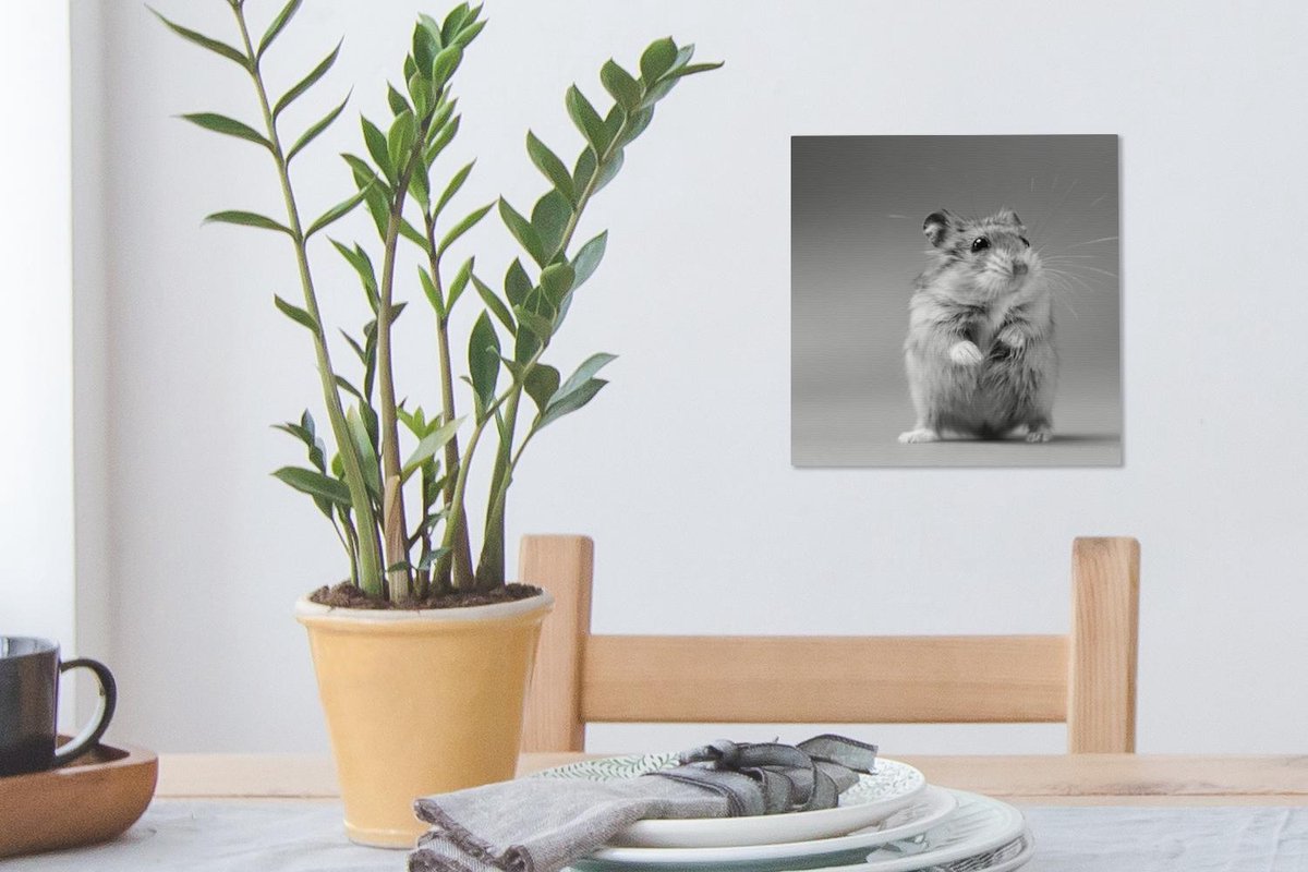 Tableau sur toile Hamster mange de la nourriture colorée - 50x50