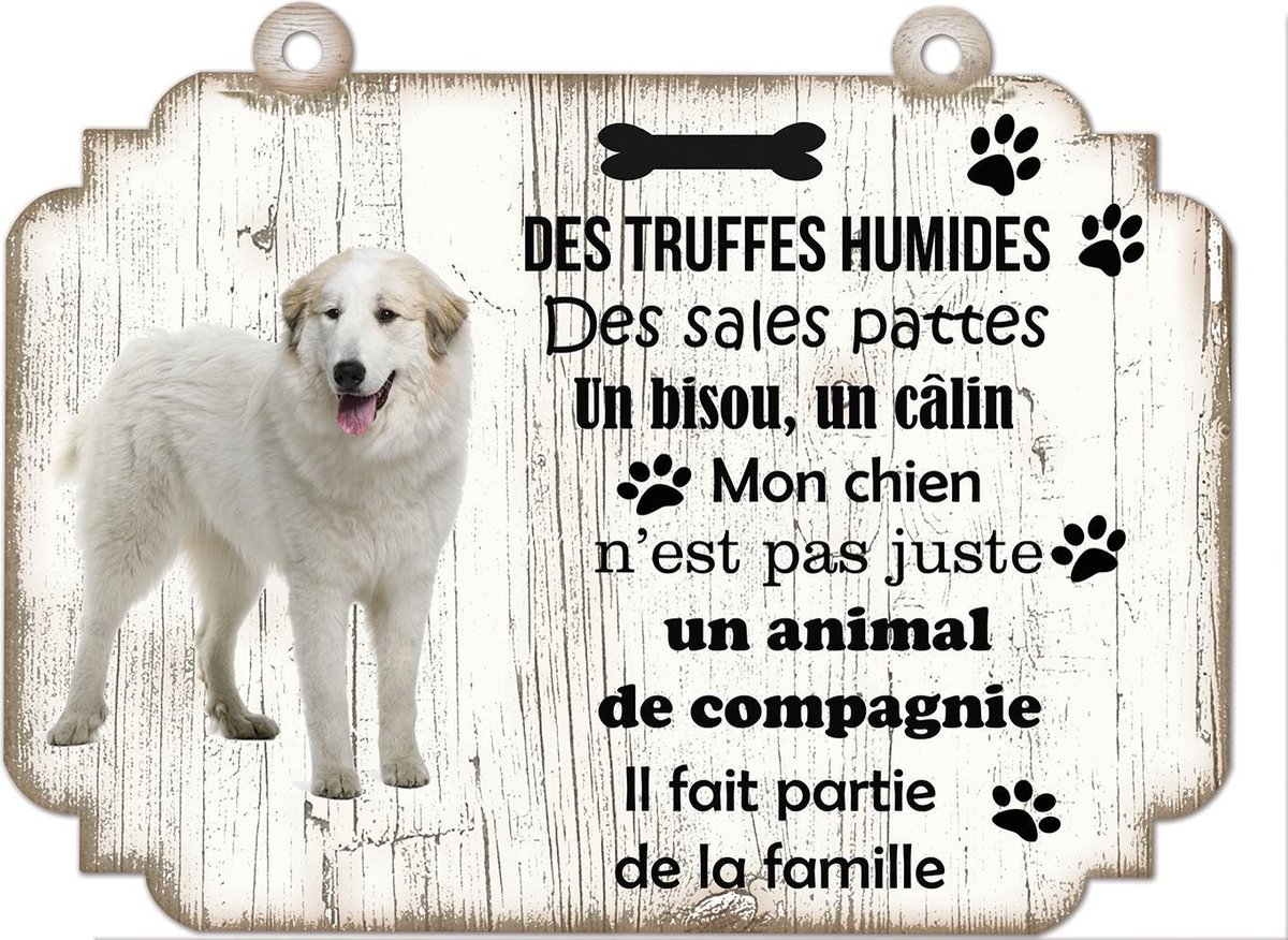 Tableau Déco - Pékinois