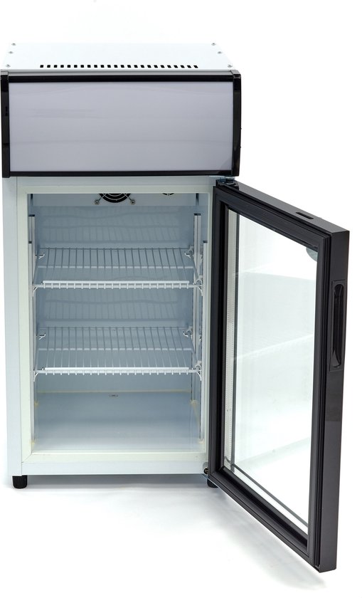 Koelkast - 50 L - 2 Verstelbare Roosters