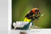 Behang - Fotobehang Vuurvliegje op een grasstengel - Breedte 330 cm x hoogte 240 cm