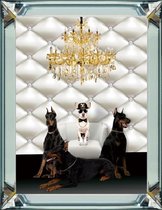 70 x 90 cm - Spiegellijst met prent - Hippe honden - prent achter glas