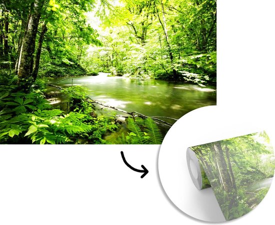 Papier peint - Papier peint photo Forêt - Arbre - Water - Largeur 360 cm x hauteur 240 cm