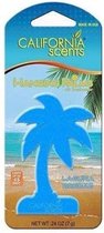 Auto luchtverfrisser California Scents Palm Laguna Breeze