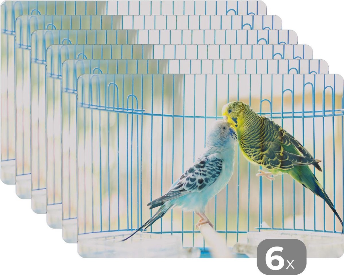 Set de table - Perruches en cage kussen - 45x30 cm - 6 pièces | bol.com