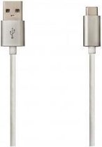 Kabel USB A naar USB C DCU Ziverachtig (1 m)