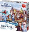 Afbeelding van het spelletje Disney Frozen 2 – Echte vriendschapsspel