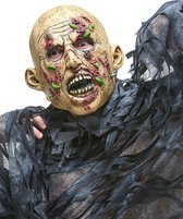 PARTYTIME - Rottende zombie met maden masker voor volwassenen