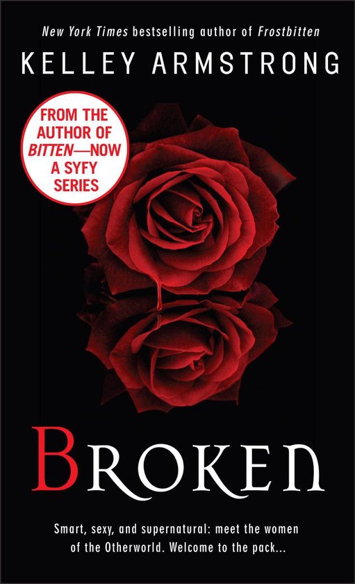 The Women of the Otherworld Series 6 - Broken - cover