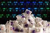 Glorious PC Gaming Race Kailh Pro Purple Switches (120 StŸck)