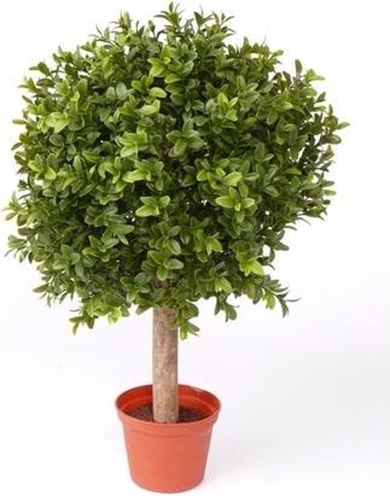 4x boule de buis plante artificielle sur tronc en pot 35 cm - Plantes  artificielles /... | bol.com