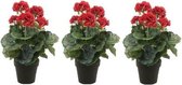 3x Kunstplant Geranium rood in pot 35 cm - Kamerplant rode Geranium