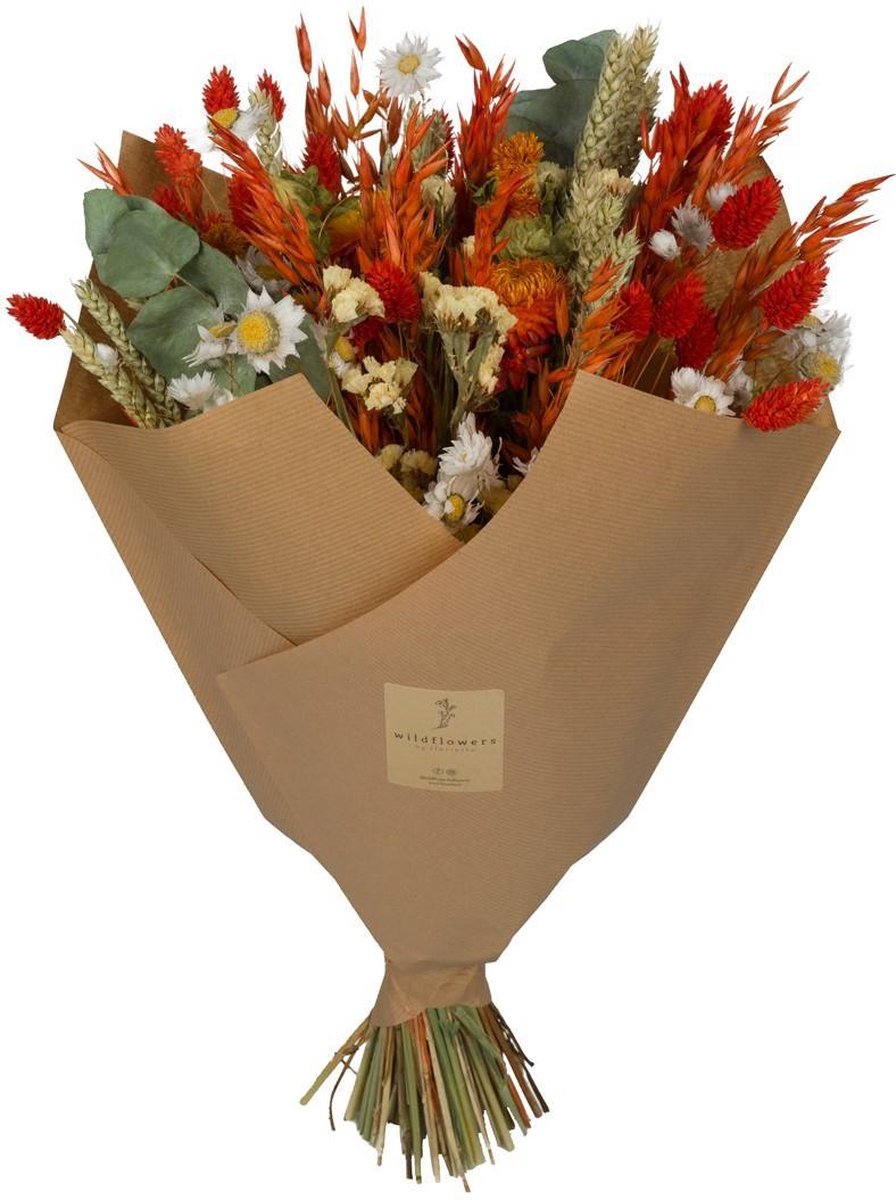 Green Harmony Droogbloemen Classic Bouquet Orange 60cm