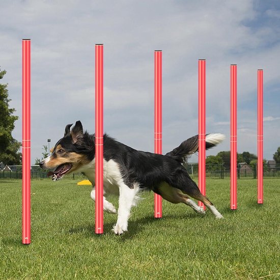 Lot de 6 Sangles Obstacles de Coordination - UISEBRT - Hauteur Réglable