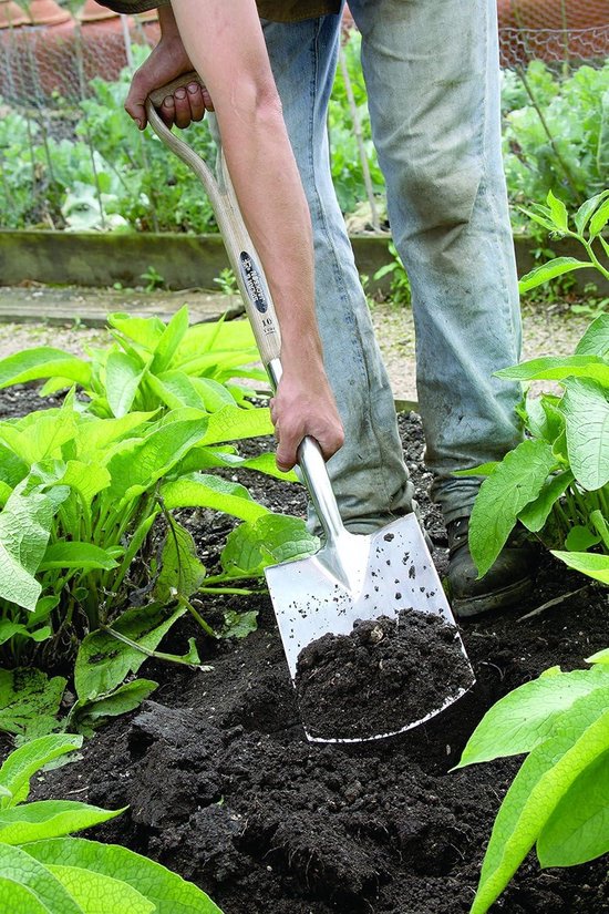 Graven Spade - Traditionele Graf Schep met Ergonomisch Handvat van DeWit — afbeelding 2