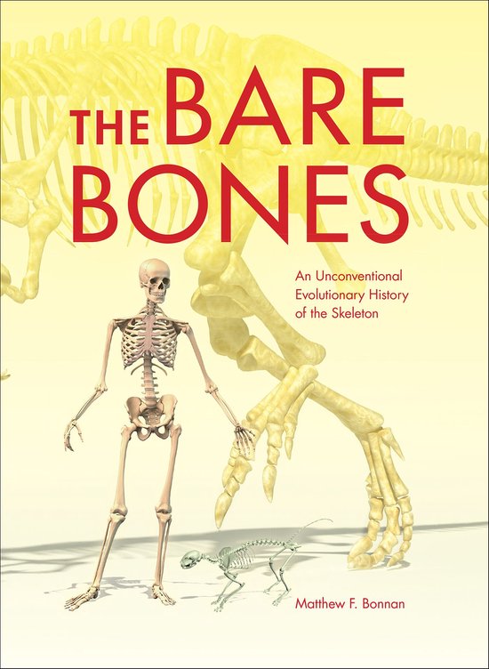 Life of the Past - The Bare Bones - cover