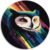 Uil schilderij rond - Dieren wandpaneel - Wandschaal Kleuren - Muurdecoratie modern - Muurcirkels - Wanddecoratie slaapkamer muurcirkel aluminium 50x50 cm