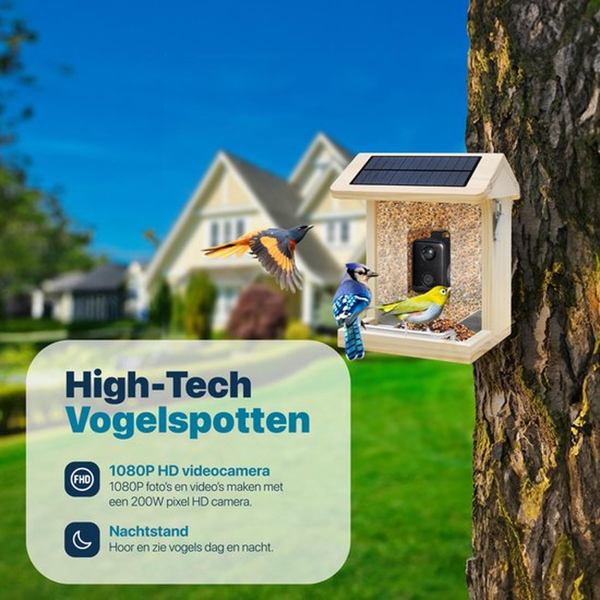 Bird Buddy: slim vogelhuisje waar je humeur beter van wordt