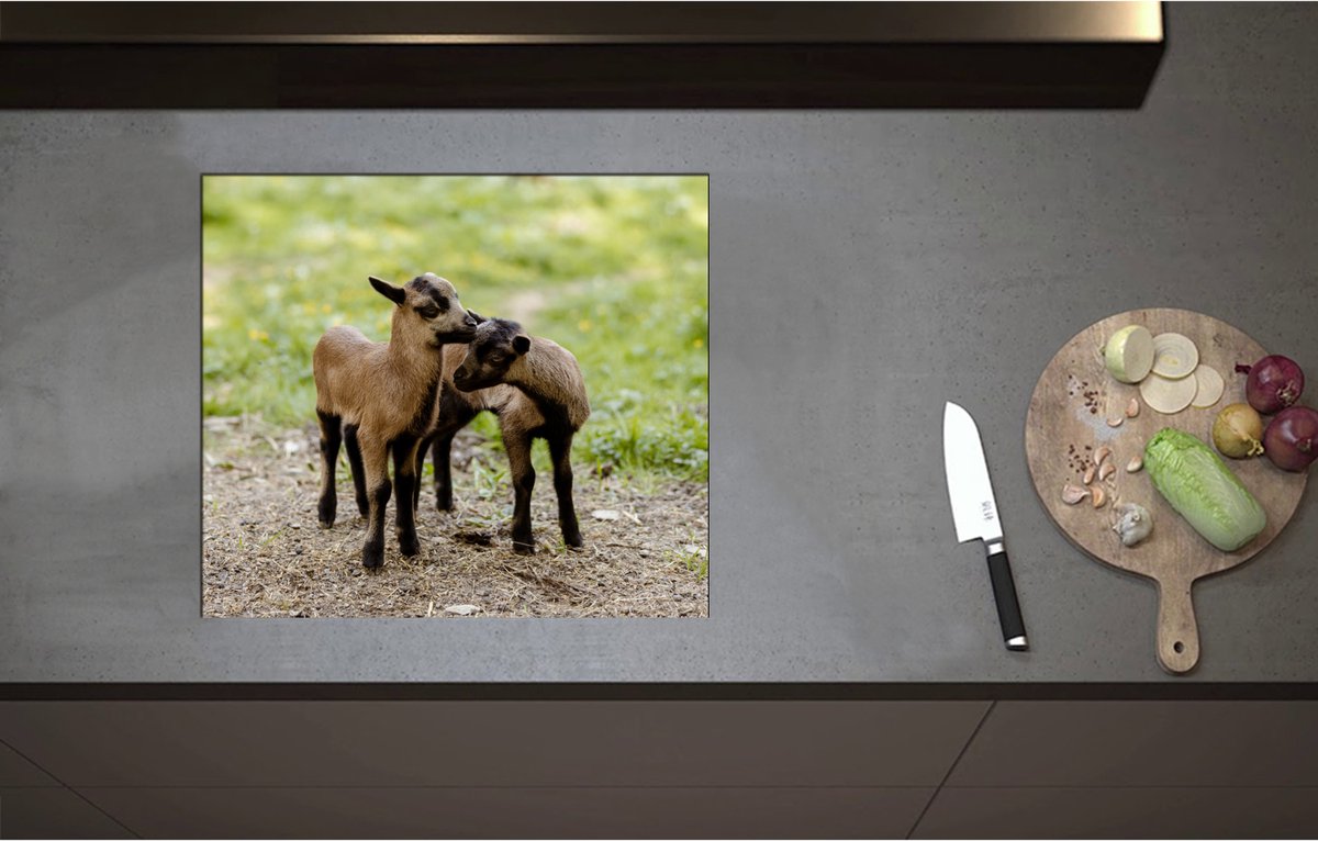Inductieplaat Beschermer - Bruin met Zwarte Kussende Lammetjes - 58x51 cm - 2 mm Dik - Inductie Beschermer - Bescherming Inductiekookplaat - Kookplaat Beschermer van Zwart Vinyl