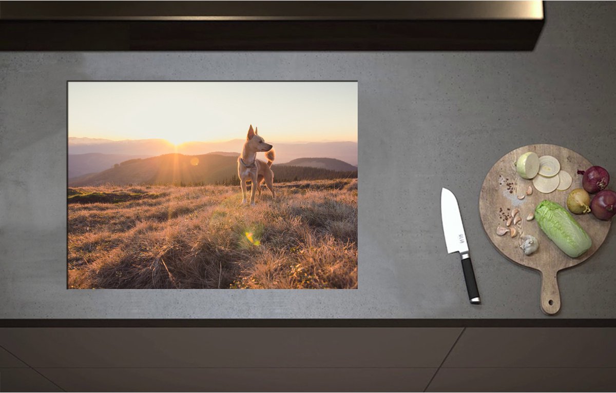 Inductieplaat Beschermer - Bruine Hond op de Top van de Berg bij Zonsondergang - 71x51 cm - 2 mm Dik - Inductie Beschermer - Bescherming Inductiekookplaat - Kookplaat Beschermer van Wit Vinyl
