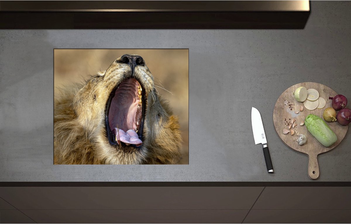 Inductieplaat Beschermer - Brullende Leeuw zonder Tanden - 58x50 cm - 2 mm Dik - Inductie Beschermer - Bescherming Inductiekookplaat - Kookplaat Beschermer van Wit Vinyl