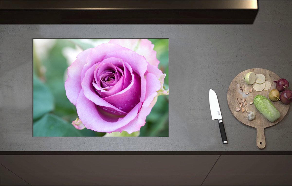 Inductieplaat Beschermer - Close Up van Mooi Bloeiende Paarse Roos - Bloemen - 70x51 cm - 2 mm Dik - Inductie Beschermer - Bescherming Inductiekookplaat - Kookplaat Beschermer van Wit Vinyl