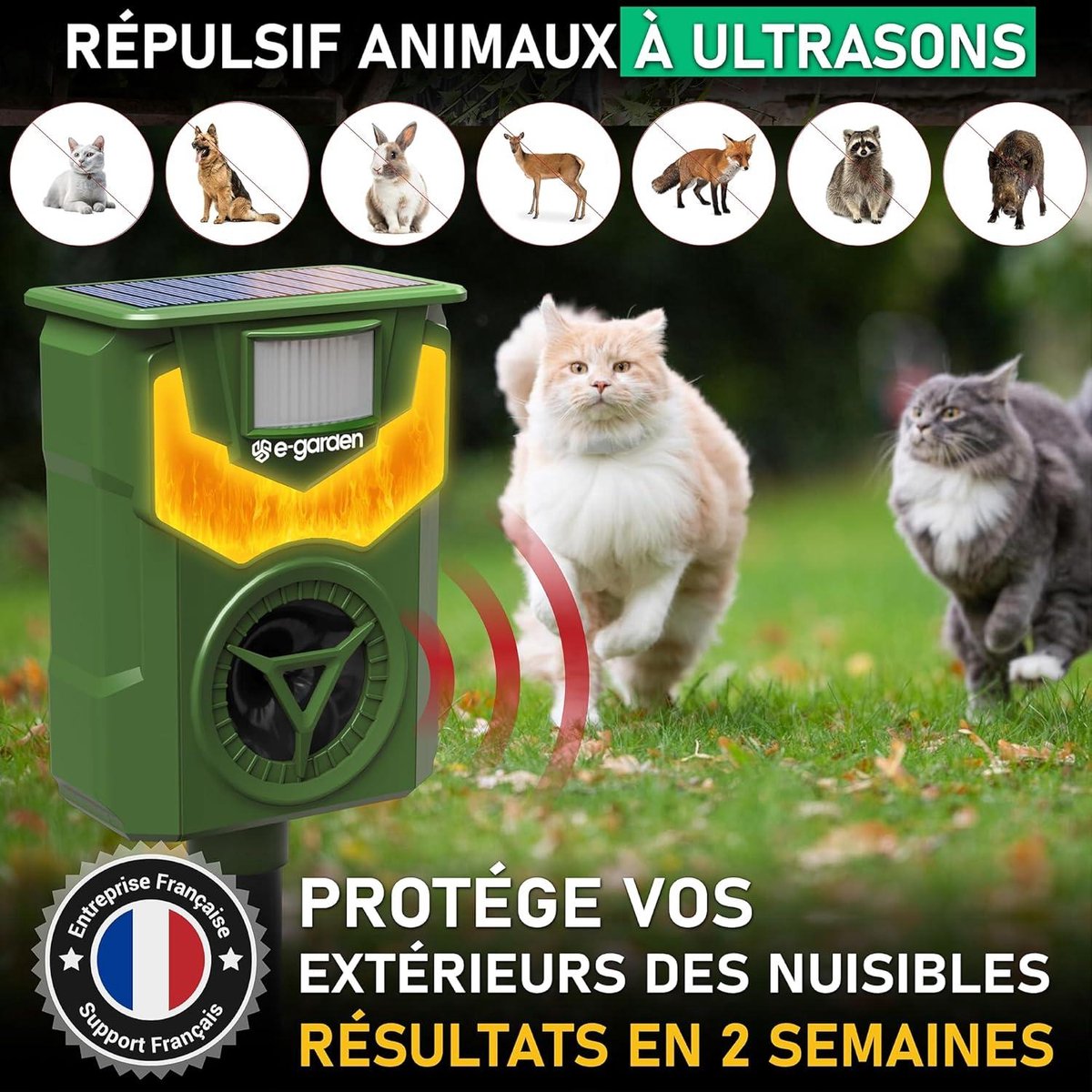 Répulsif Chat Ultrason Solaire Extérieur – 4 Modes Réglables, Charge USB, Anti Chats Chiens Rongeurs Oiseaux Jardin 10m