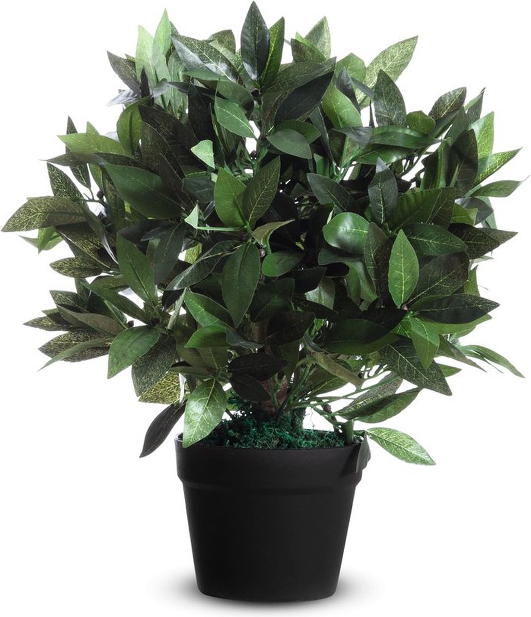 meet_by_Paperflow Kunstplanten PAPERFLOW, van PE, groen, incl. kunststof pot, laurierboom, 500 mm