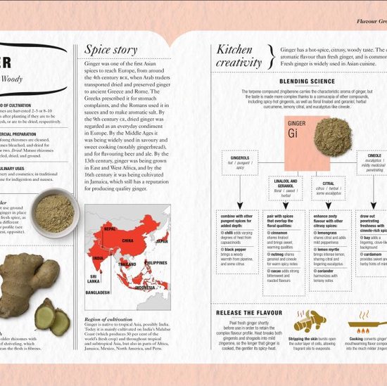 The Science of Spice