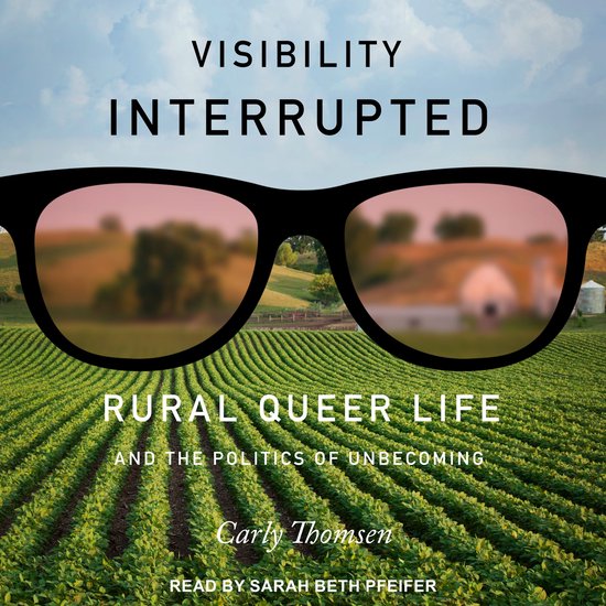 Visibility Interrupted - cover
