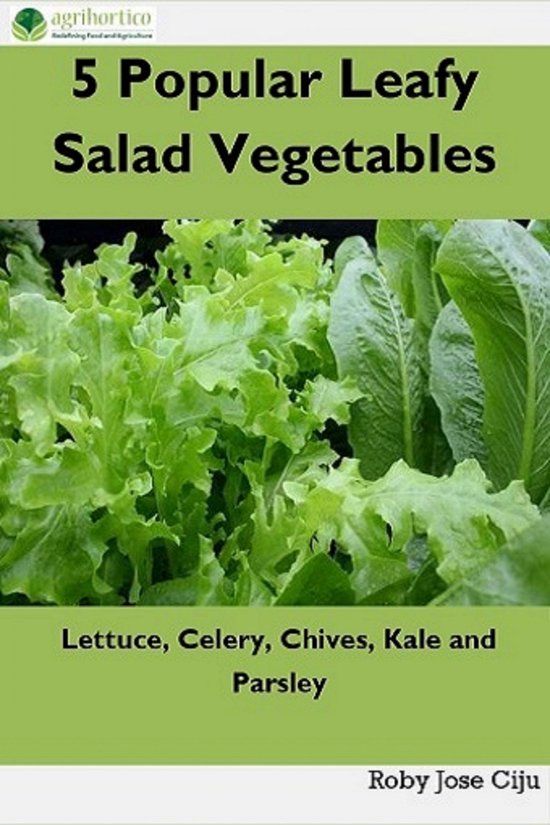 5 Popular Leafy Salad Vegetables - cover
