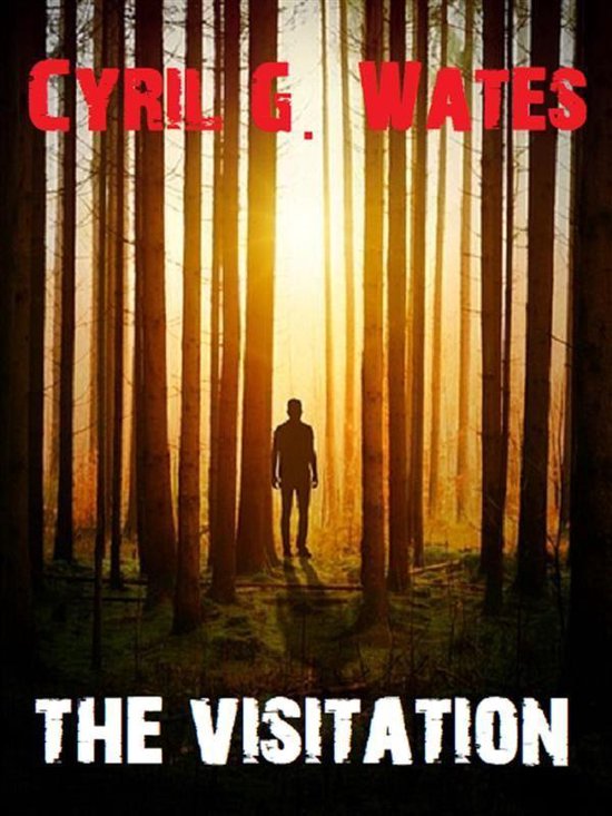 The Visitation - cover