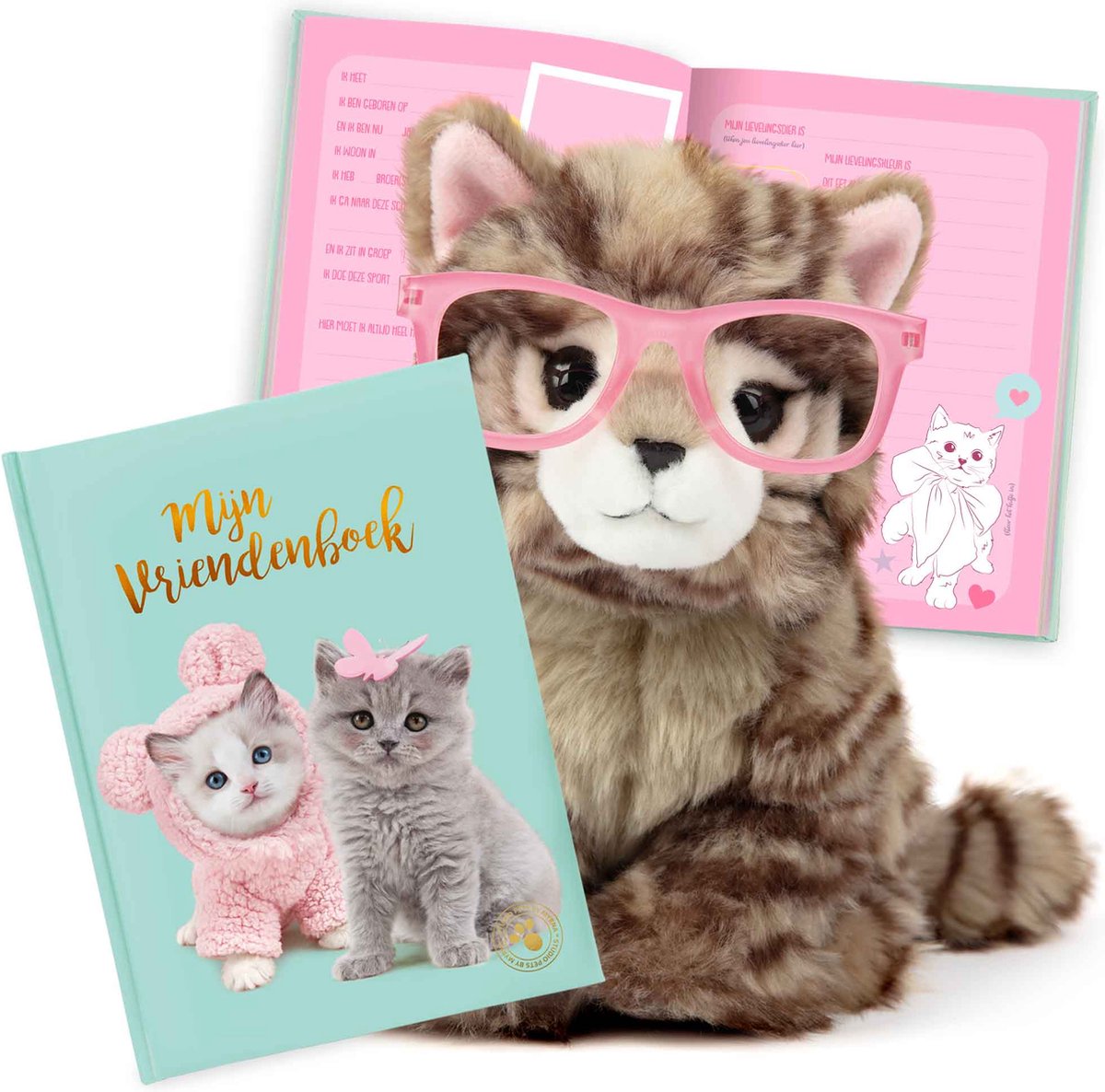 Studio Pets® Set van Katten Vriendenboek en Knuffel Britse Langhaar Kat Paige 23 cm – Cadeauset voor kinderen