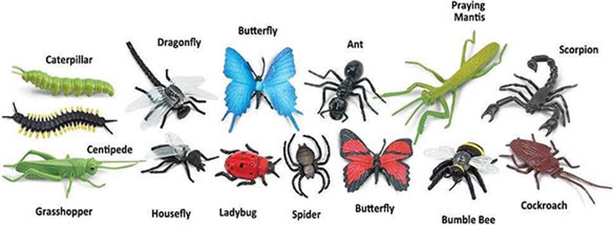 Speelfiguren Insecten Toob - Safari Ltd 14 stuks