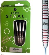 Leids Staal Narry Darts (25 Gram)