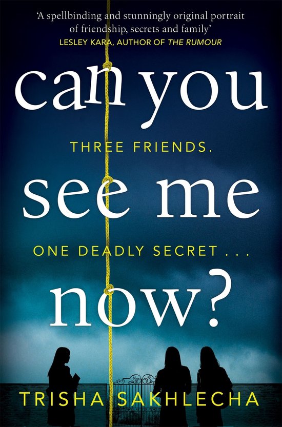 Can You See Me Now? - cover