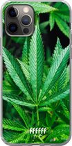 6F hoesje - geschikt voor iPhone 12 Pro - Transparant TPU Case - Mary Jane #ffffff