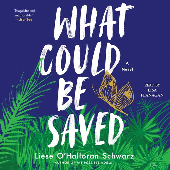 What Could Be Saved - cover